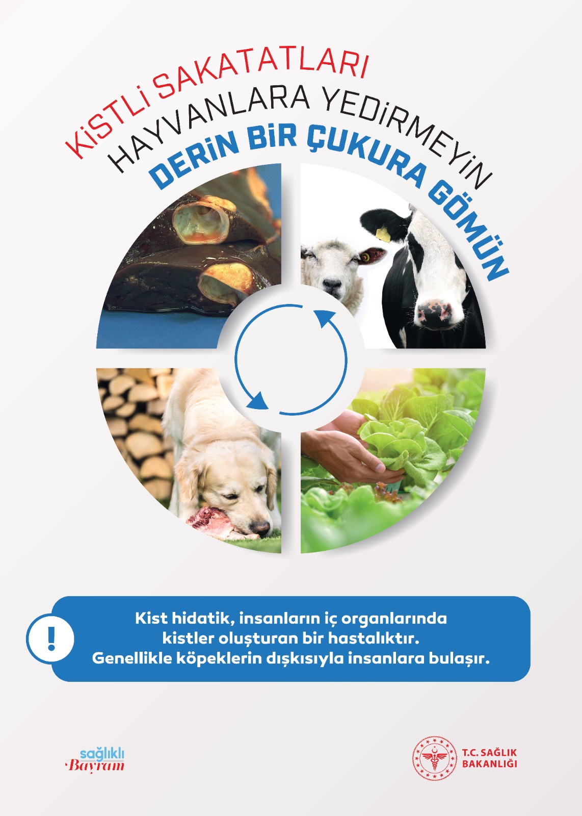 Kurban Keserken Temizlik ve Sağlık Kurallarına Mutlaka Uyulmalı 